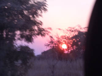 zambian sun set