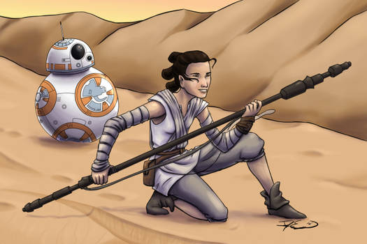 SW7 Rey and BB 8