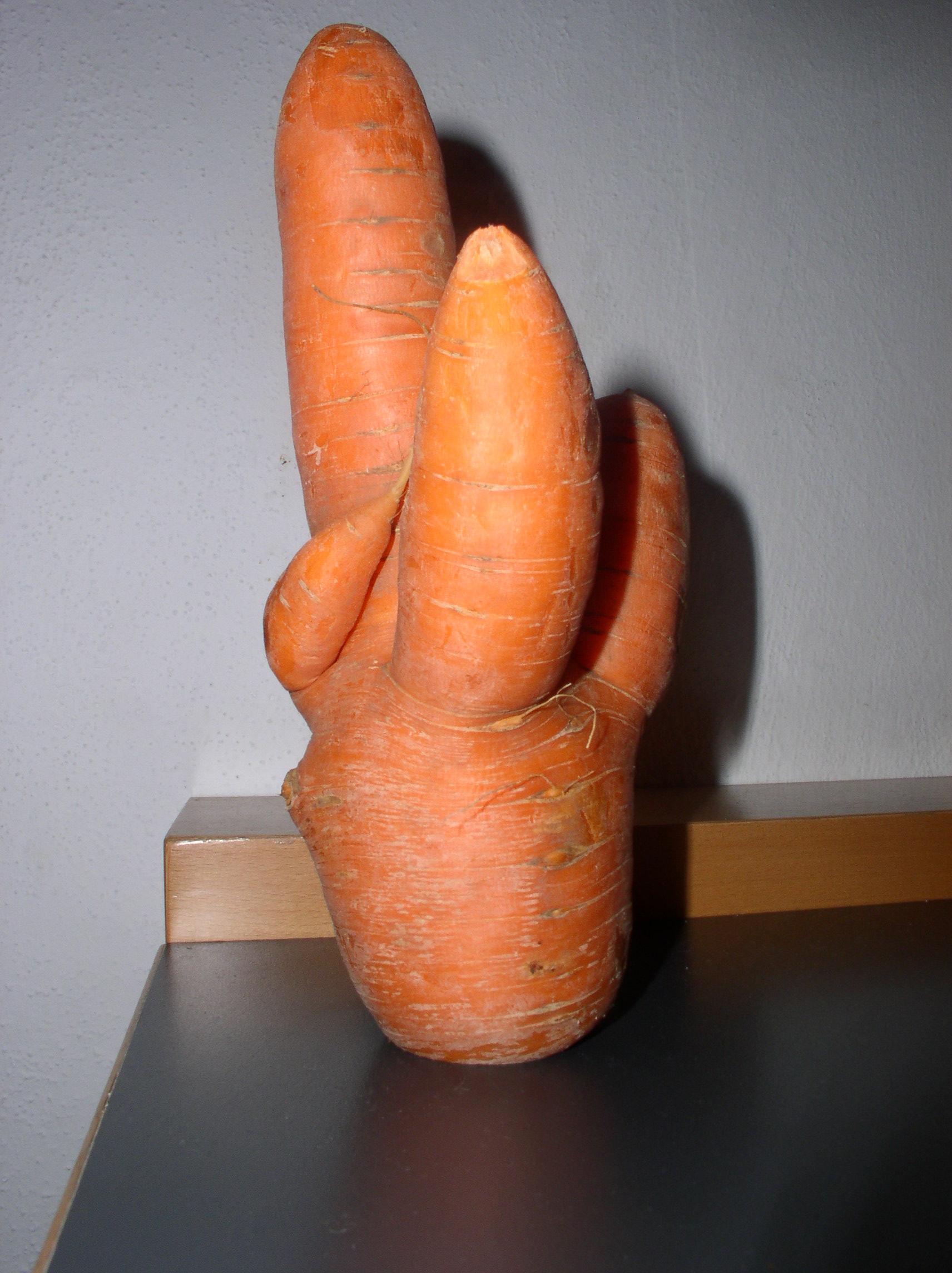 Funny Carrot