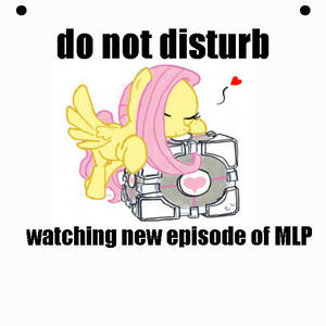 mlp do not disturb