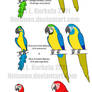 Real RIO Parrots