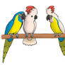 Dream parrot hybrids