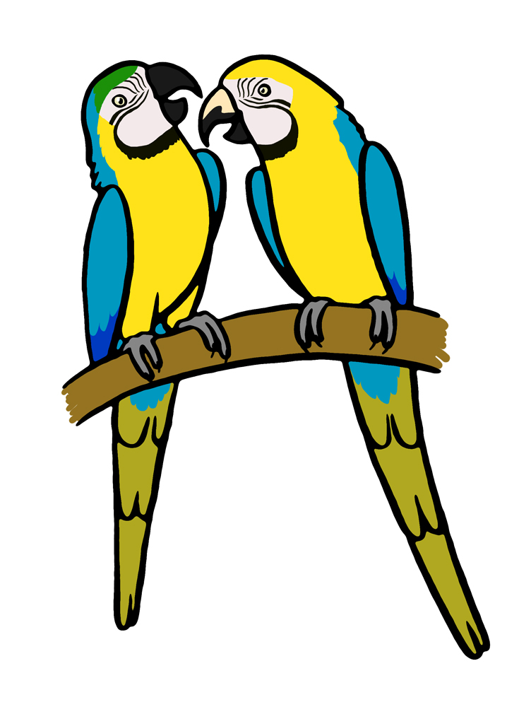 Blue and gold macaws from a dream