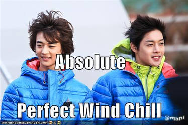Absolute Perfect Wind Chill