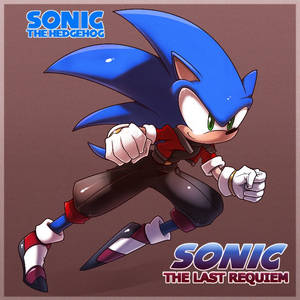 sonic the hedgehog +TLR+