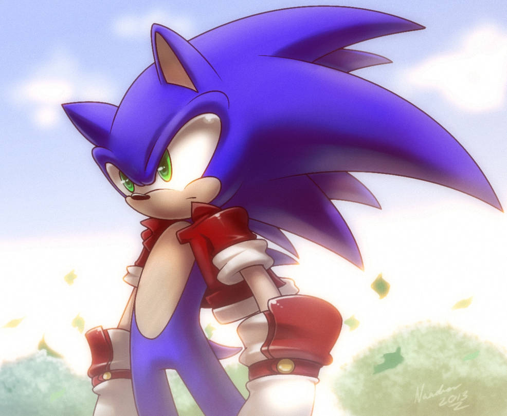 Sonic the hedgehog +Reflections+