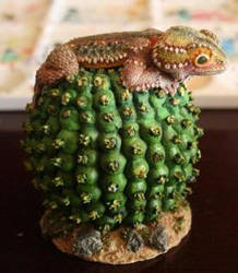 Cactus Creature