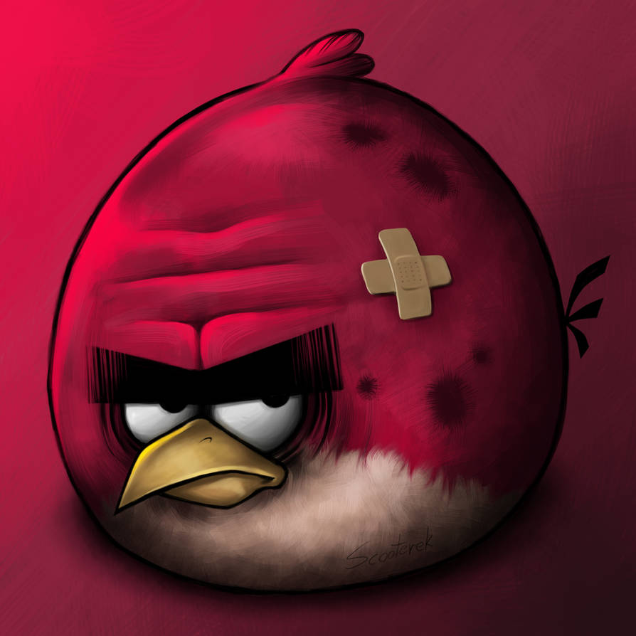Angry birds phonk. Angry Birds красная птица Теренс. Теренс Энгри бердз на аву. Побитые птички из Энгри бердз. Злая птичка Энгри.