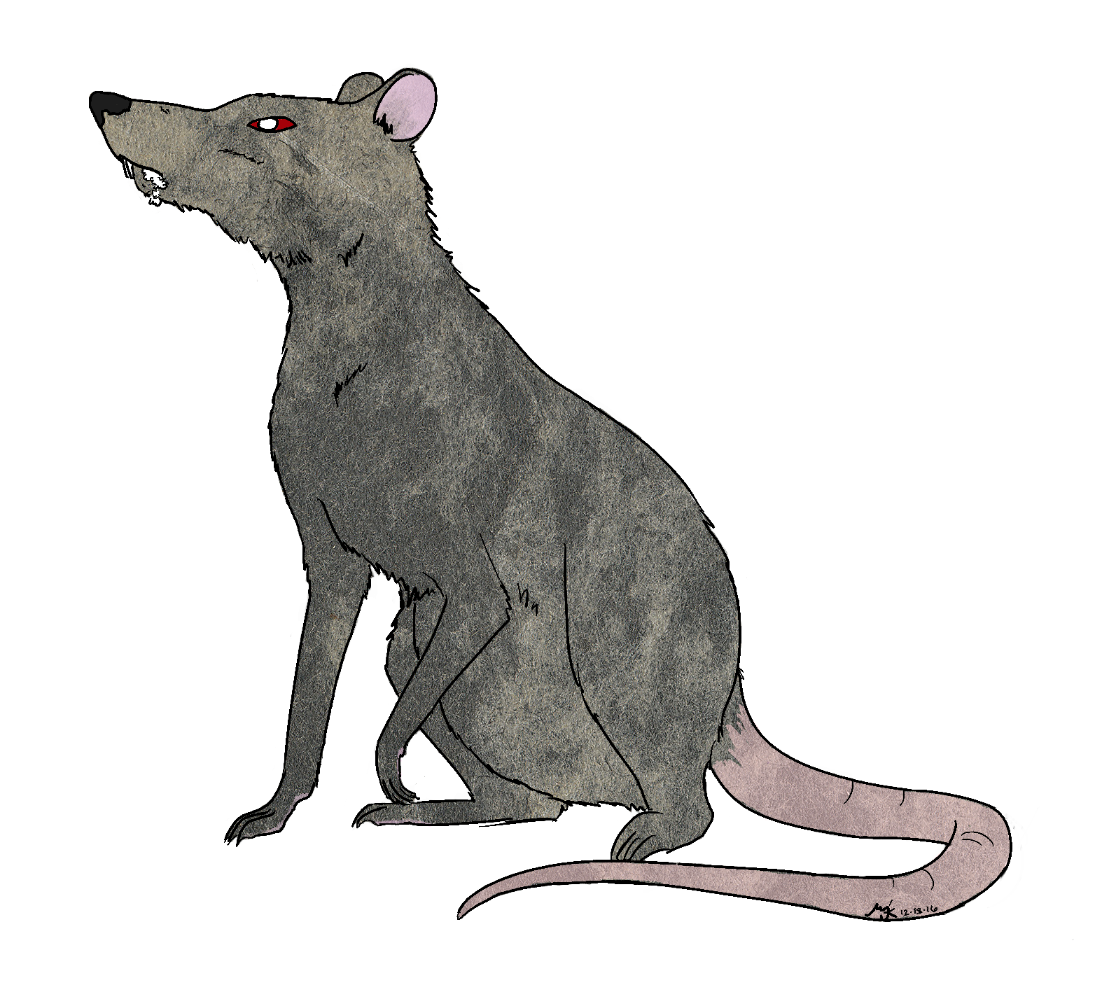 Rat Deviantart Rat by Malfeiya on DeviantArt