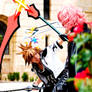 Sora and Marluxia - Fight