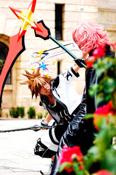 Sora and Marluxia - Fight