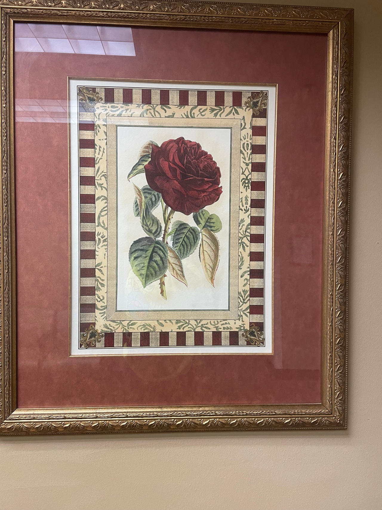 Framed Roses A Framed Rose by JohnDavidbiehl on DeviantArt