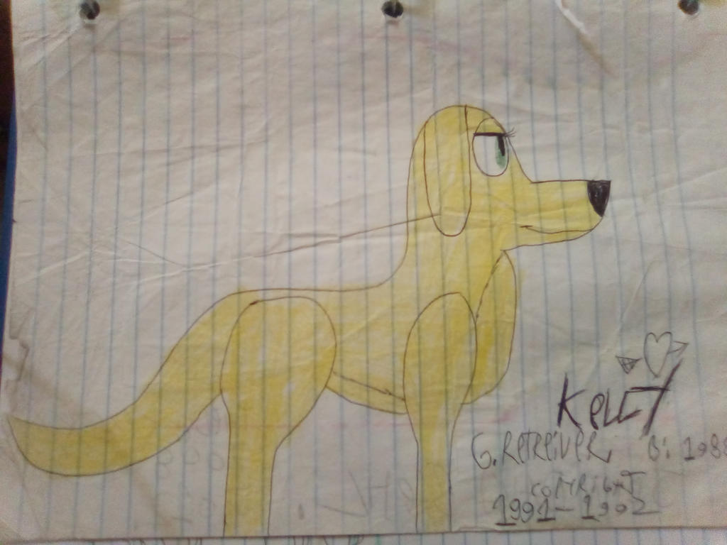 Kelly G Retriver. by JohnDavidbiehl on DeviantArt
