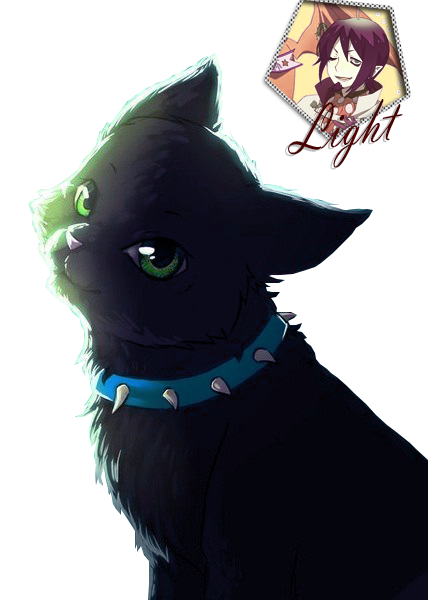 Cat render by Madarka2013 on DeviantArt