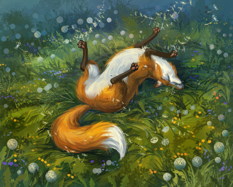 Fox And Dandelions