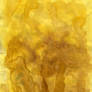 WaterColor 37
