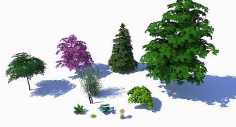 SketchUp Tree Component Render