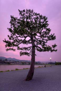 Arashiyama