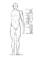 Male Anatomy Drawing Exercise