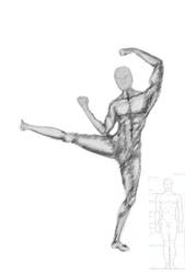 Male Anatomy Shading Exercise