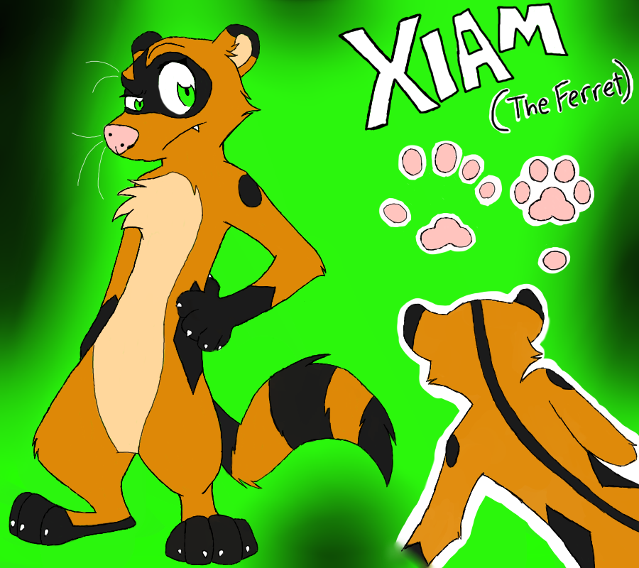 Xiam Ref 2011