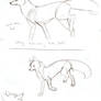 Tutorial Sketch: Fox 3