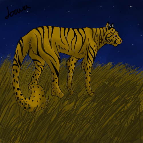 Tiger Cheetah Thing