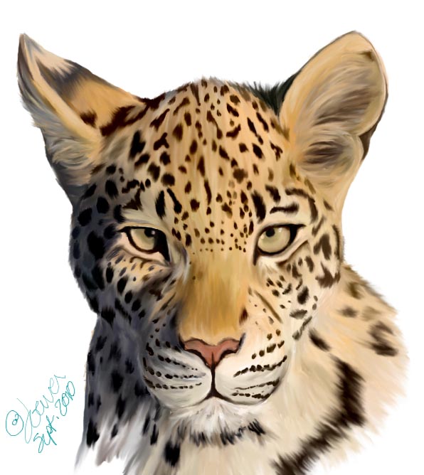 Leopard Color