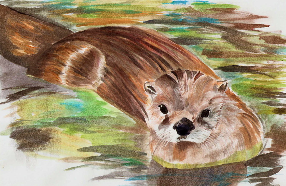 Otter Watercoler