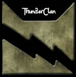 ThunderClan. Just plain ThunderClan by berrystar857