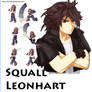 Squall MVP for ragnarok Online