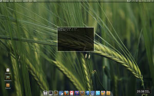 Ubuntu 10.10 Transparency