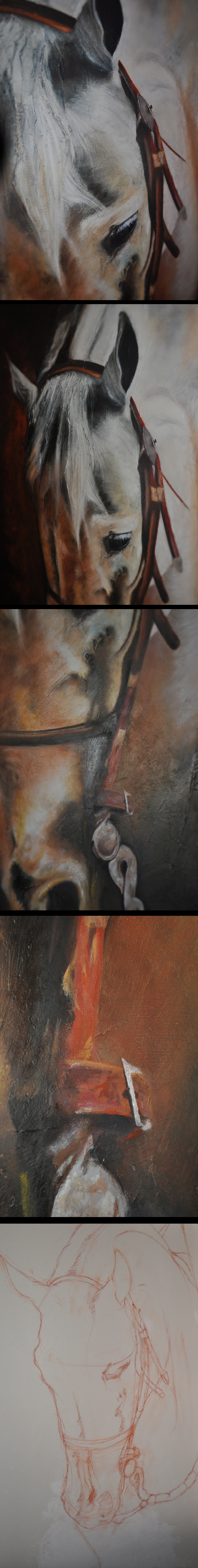 Horse, work in process...