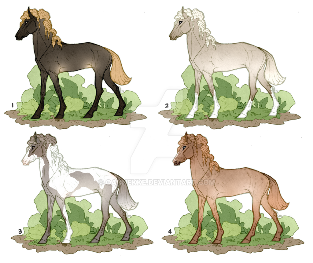 Nettaiuma Horses - Batch 3 - CLOSED