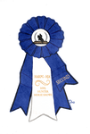 HARPG-HJA 2nd Place Ribbon by qannekke