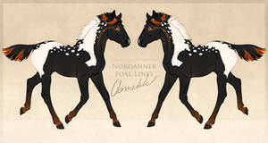 Crazedxmia Nordanner Foal Design 12