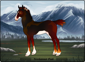 Horserider201 Nordanner Foal Design