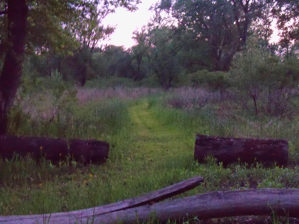 Wide Path by averagefox91 on DeviantArt