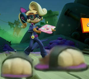 Coco Bandicoot big paws 13