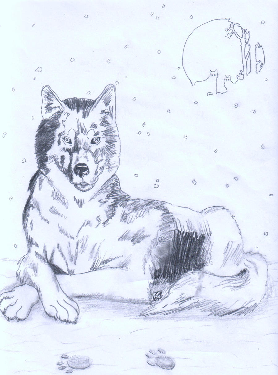 Wolf Present_Finished