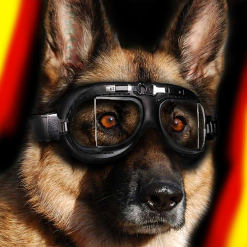 German Shepherd Icon