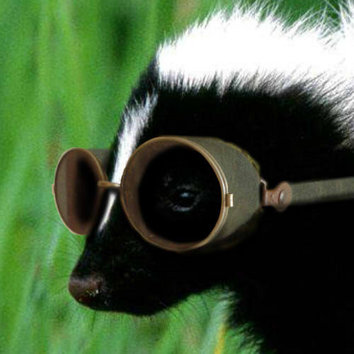 Skunk Icon