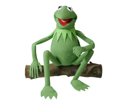 Kermit Type The Muppets - Kermit the Frog by Agustinsepulvedave on DeviantArt