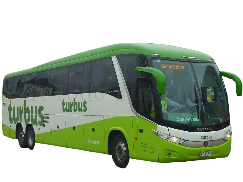 Tur Bus Paint Turbus by Agustinsepulvedave on DeviantArt