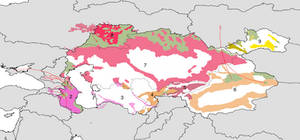 Ethnic map of United Turkestan