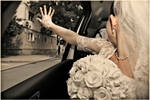 bye by ydna333