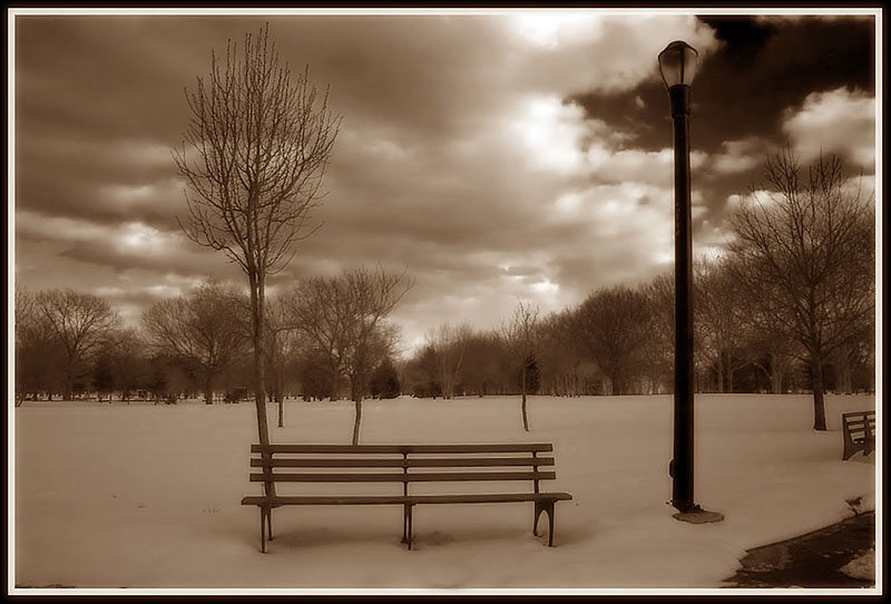 Bench