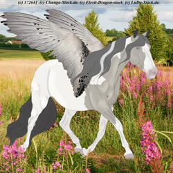 Untitled130 20240523230240