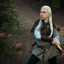 Legolas. Elven bowman. (cosplay)