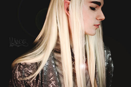 Thranduil - King of Woodland Realm (truegender)